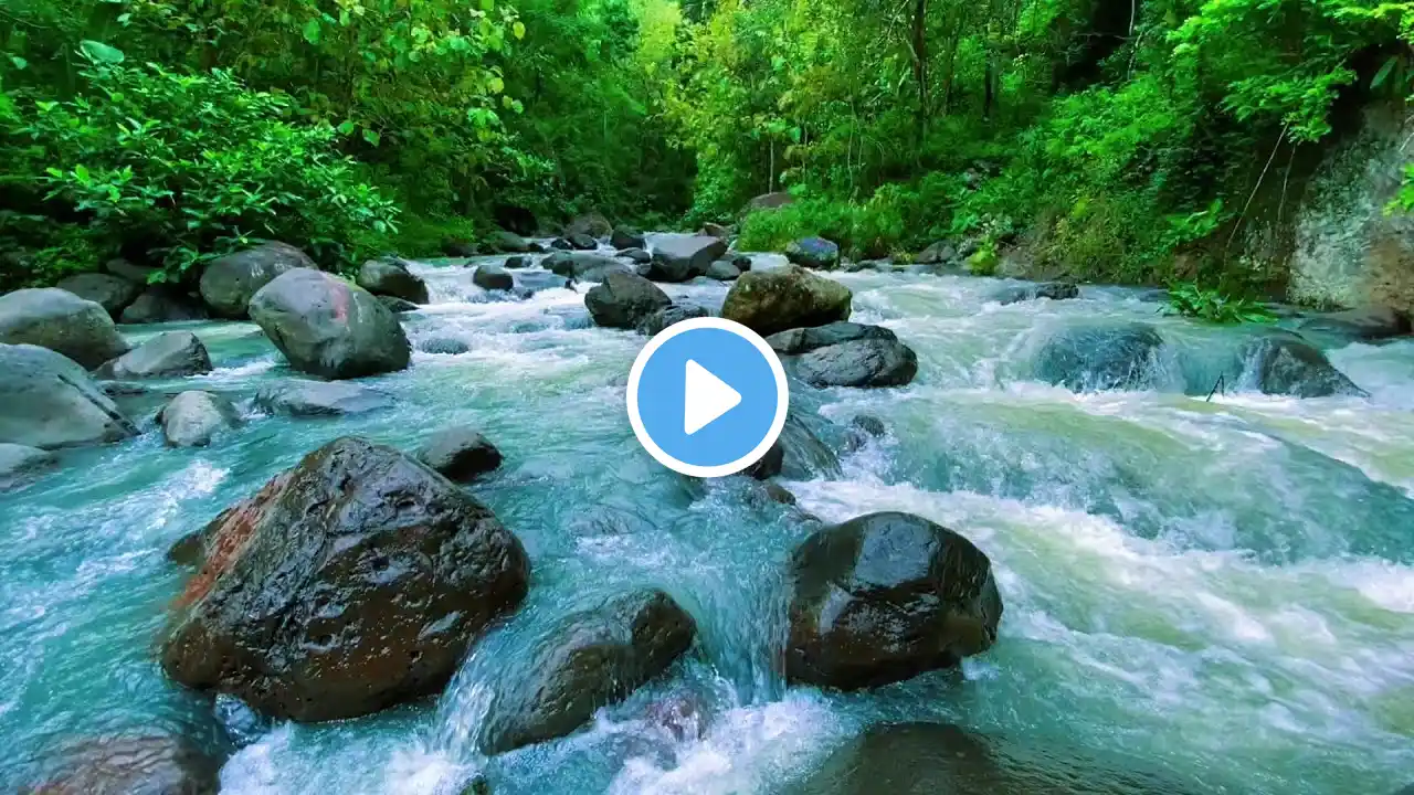 Mountain stream flowing, Forest river stream, Flowing water, white noise for sleeping