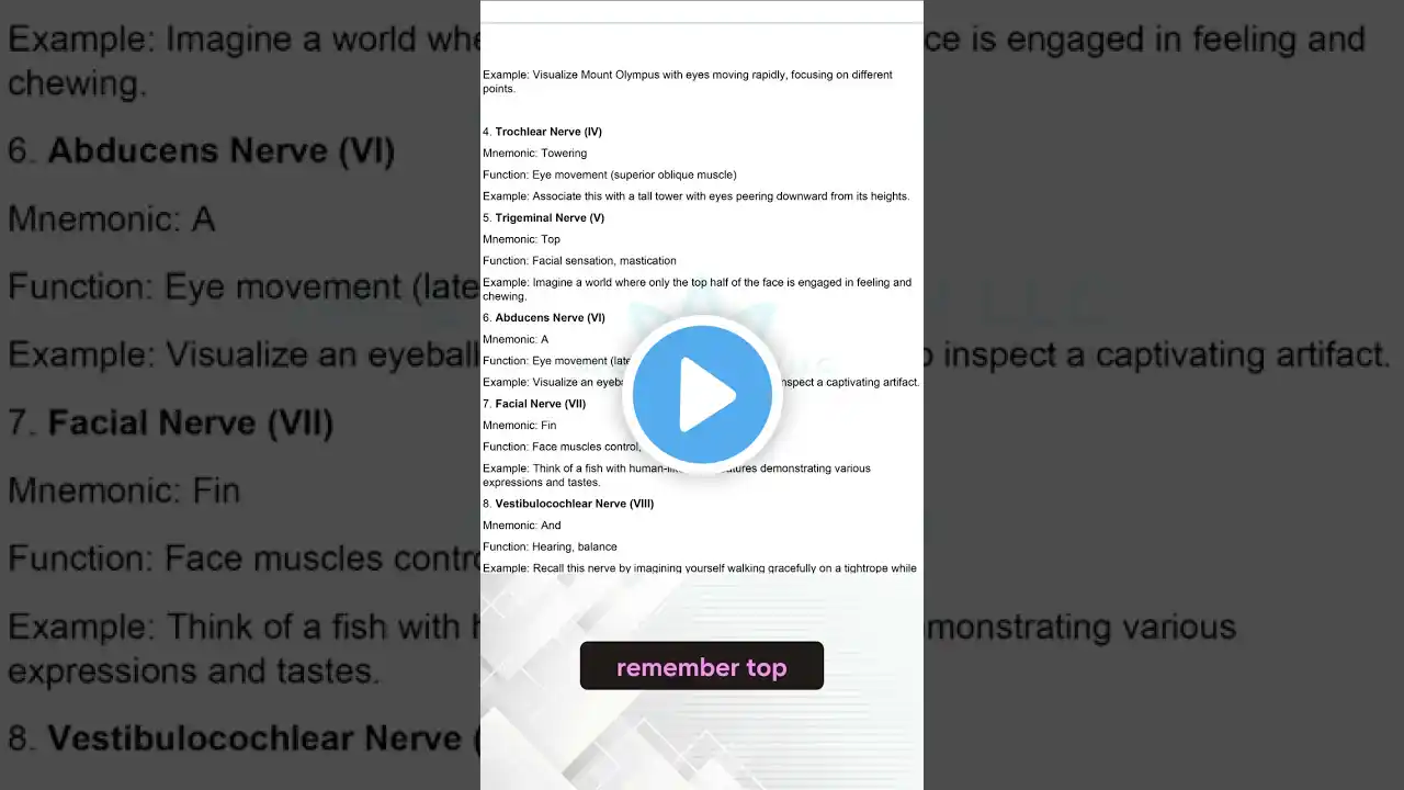 Cranial Nerves Made Easy: Mnemonics and Functions!