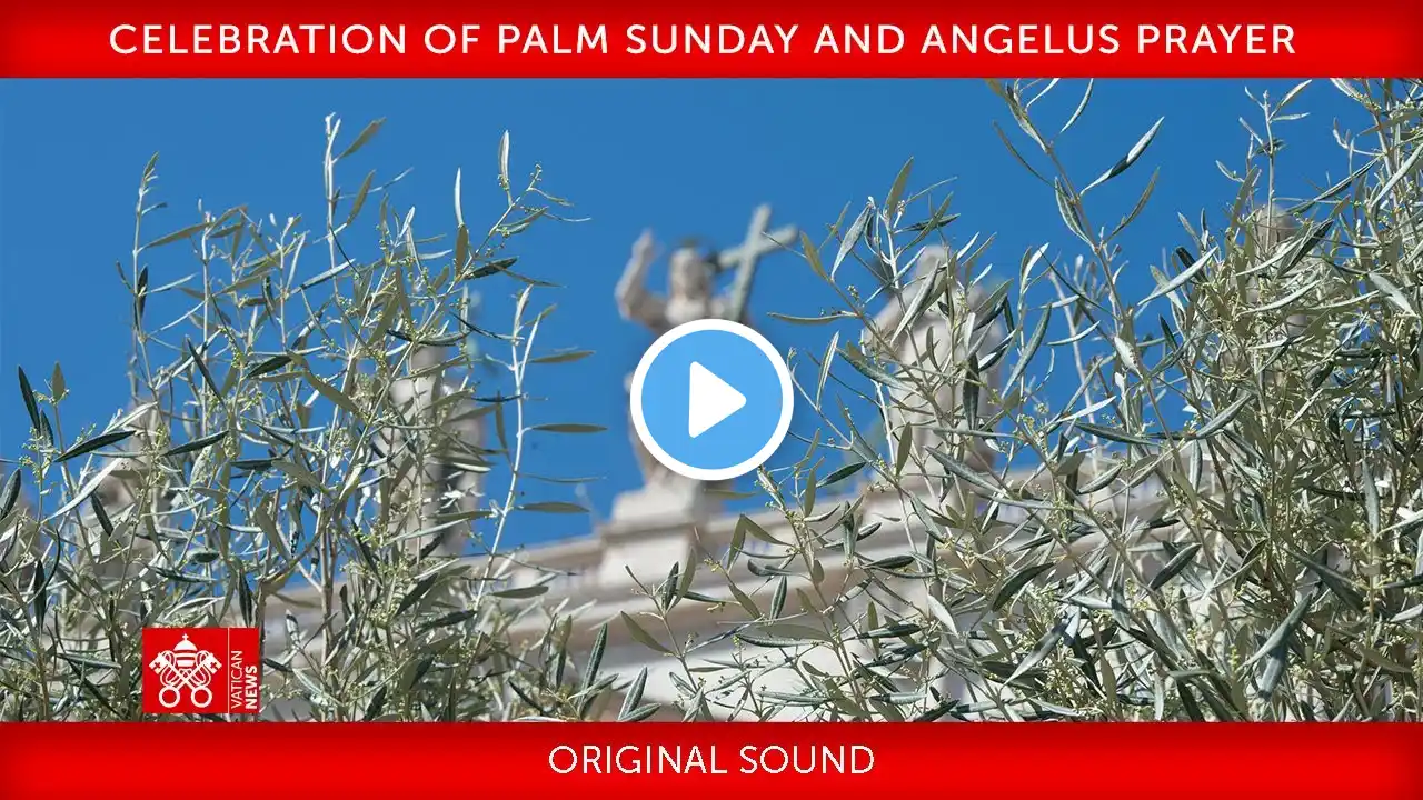 24 March 2024, Celebration of Palm Sunday, Angelus prayer | Pope Francis