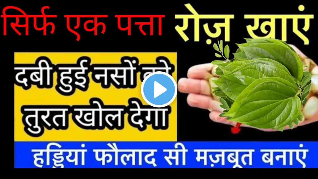 घुटने का दर्द, Joint Pain, नसों में दर्द +कमजोरी ,दबी हुई नस,साइटिका Slip Disc ,100% पान के पत्ती से
