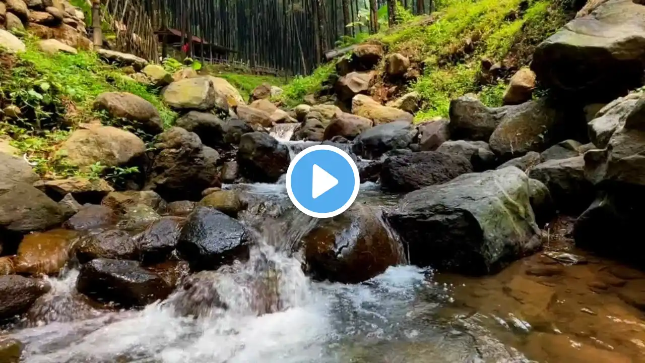 Sleep Instantly with River Sounds | 10 Hours of Soothing Water Flow for Insomnia Relief