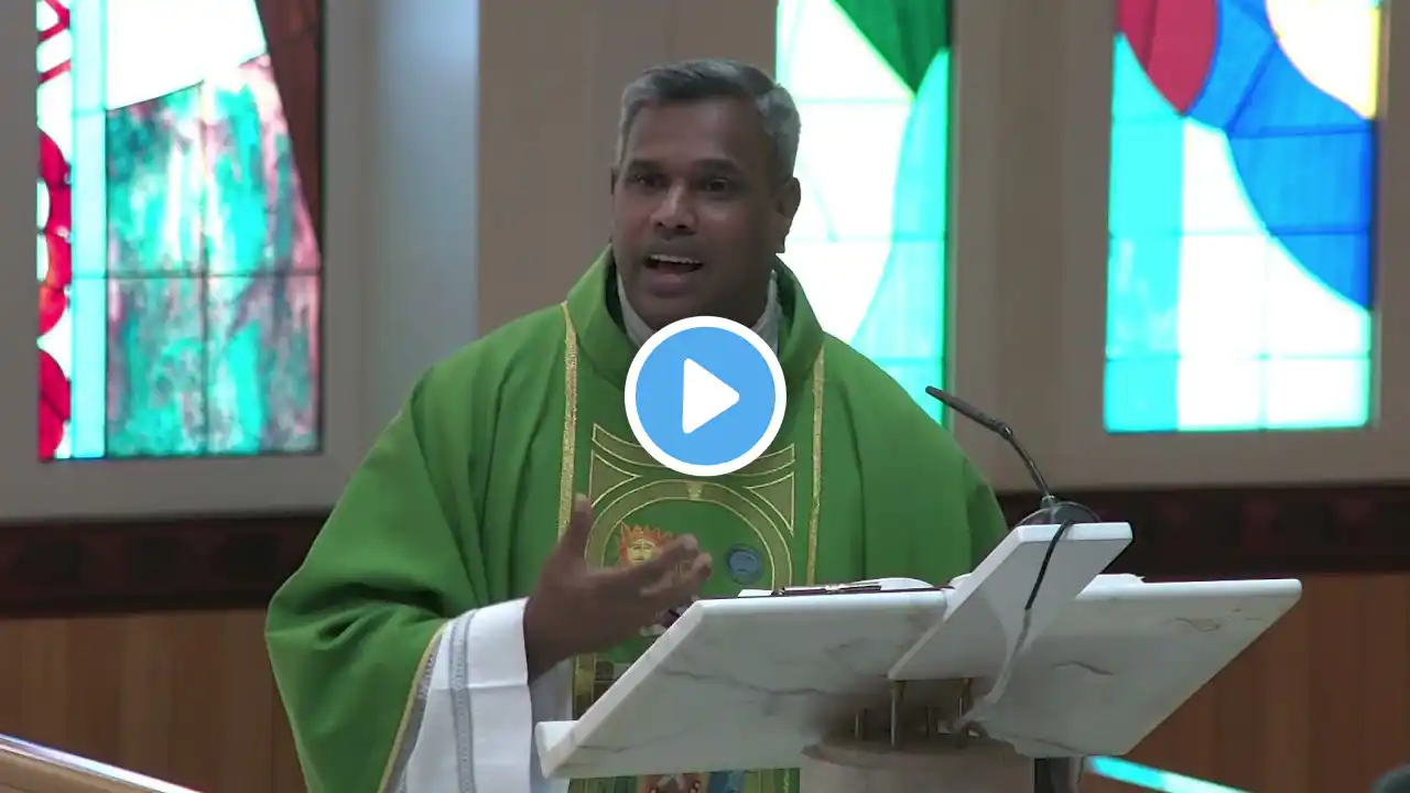 29th Sunday in Ordinary Time. Homily by Fr. Roy Clarence Nayagam