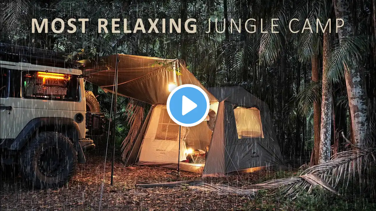 Relaxing SOLO CAMP in the RAINY JUNGLE [ Australian Rain Forest cosy vibes, new tent, ASMR ]