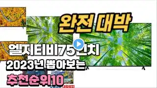 2023년 엘지티비75인치  추천 판매순위 TOP10