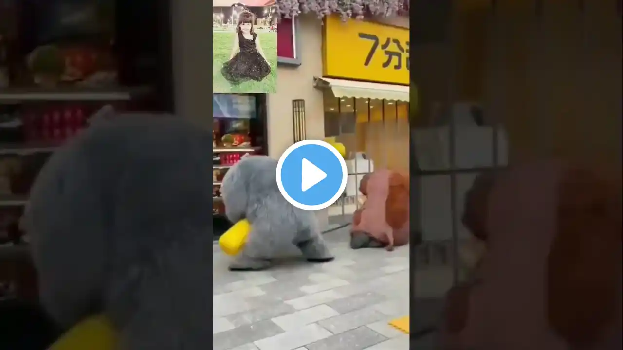 Donkey and gorilla fight π #shorts #funny
