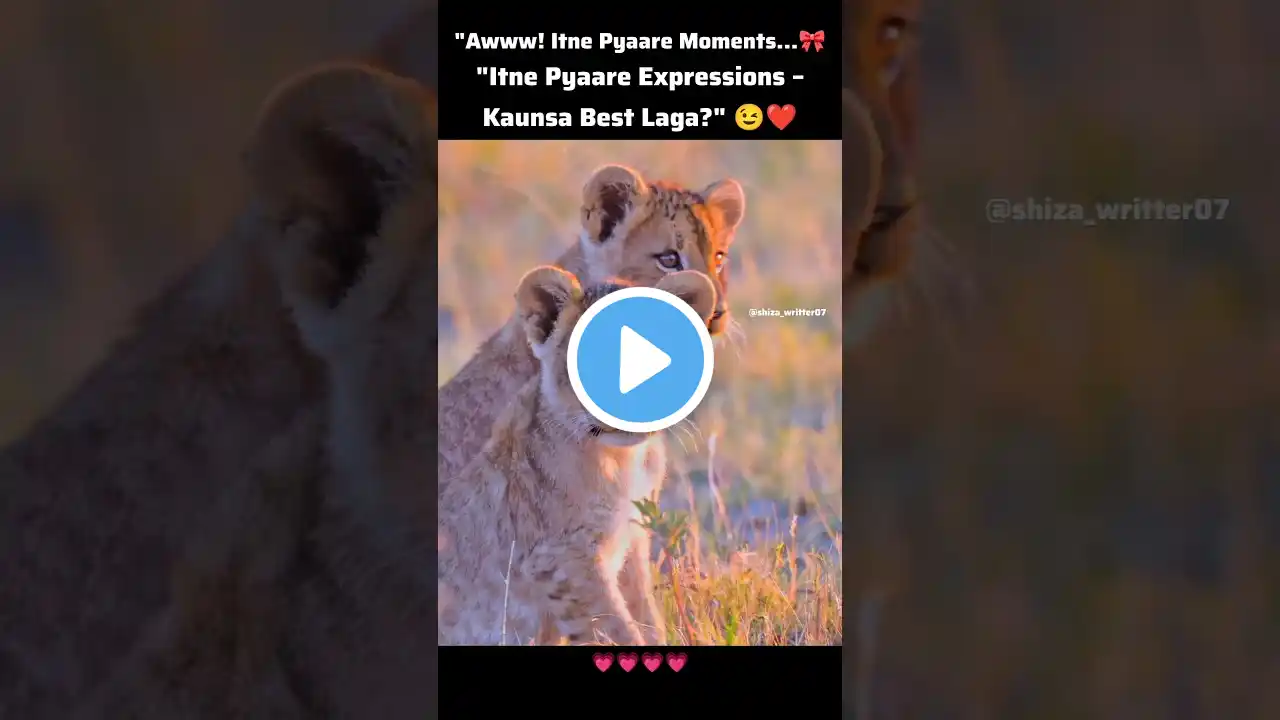 "Awww! Itne Pyaare Moments – Dil Pighal Jayega!"#love #animals #cute #adorablevideo #shorts #cutepic