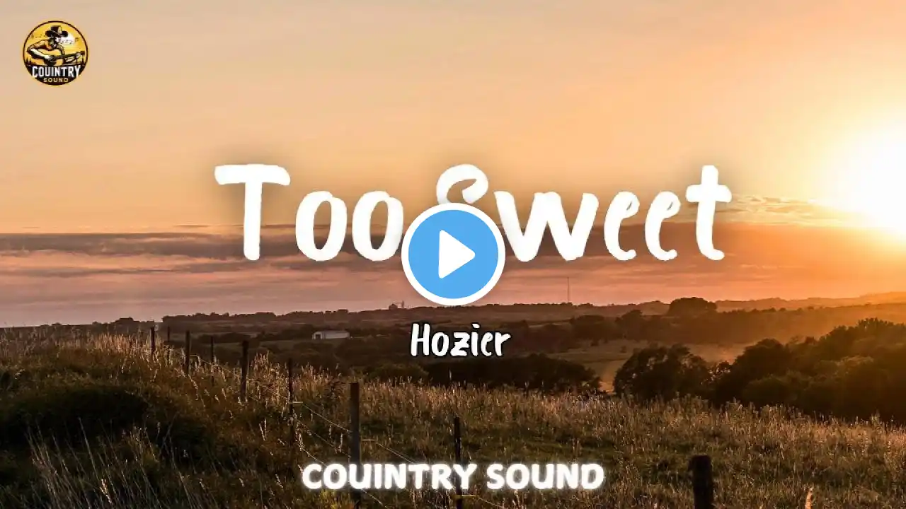 Hozier - Too Sweet ( Lyrics/Letra )