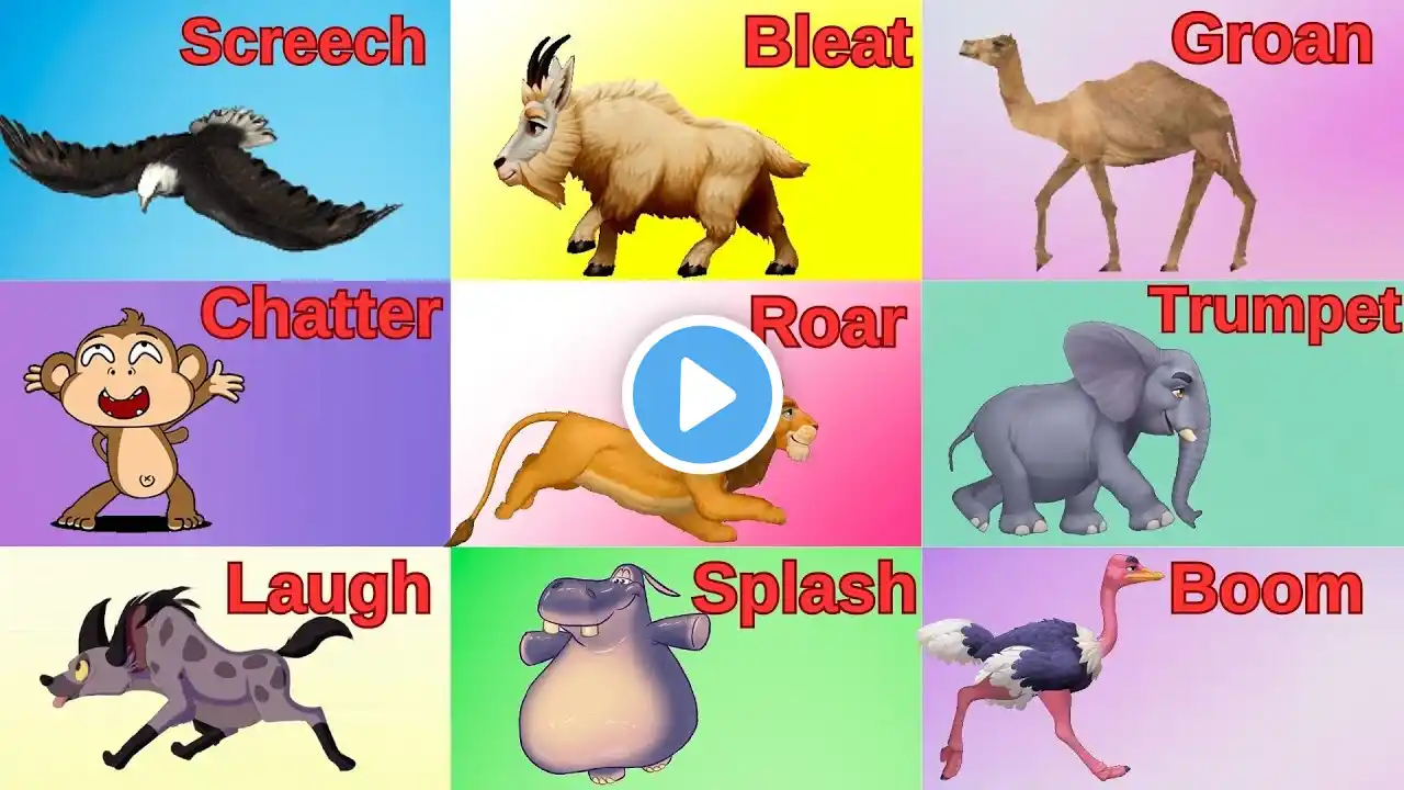 Safari Animals Sounds Song for Kids /Safari Animals/ Animals Sounds