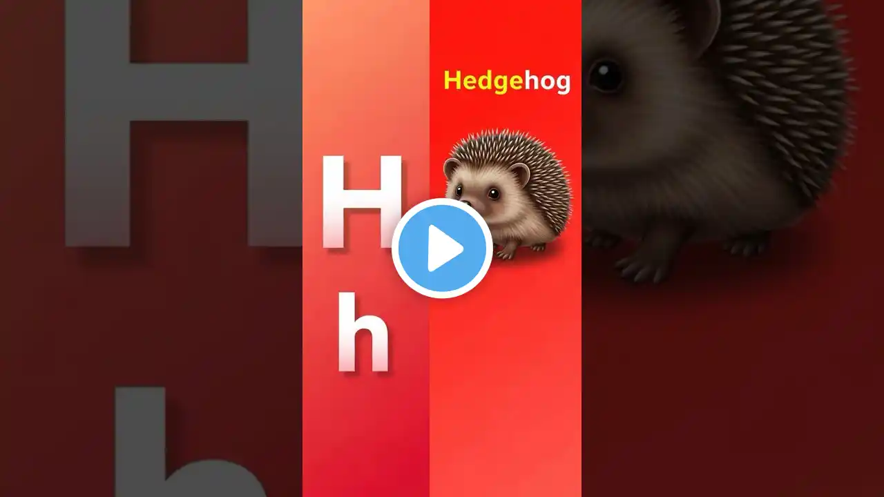 H for hedgehog #kids #alphabet #learnabc #kidslearning #nurseryrhymes #abcforkids #alphabetforkids