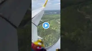 Flying over the Amazon Rainforest! 🌳