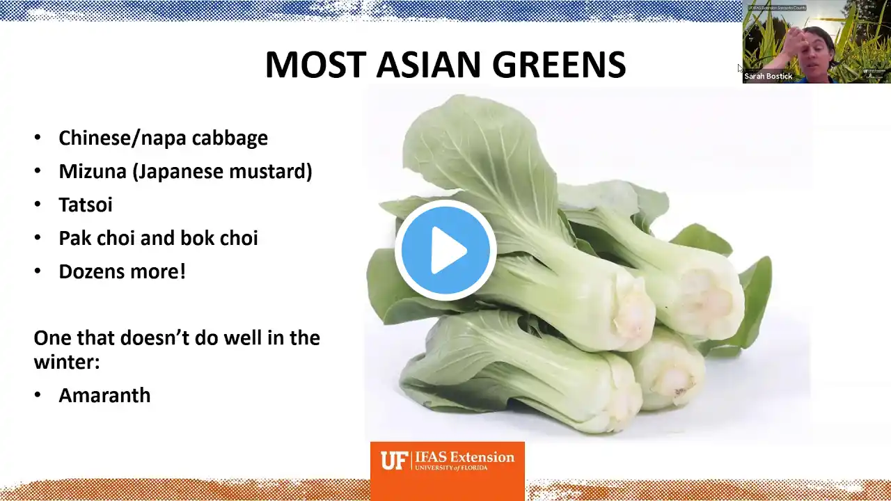 Edible Gardening: Winter Greens (webinar series)