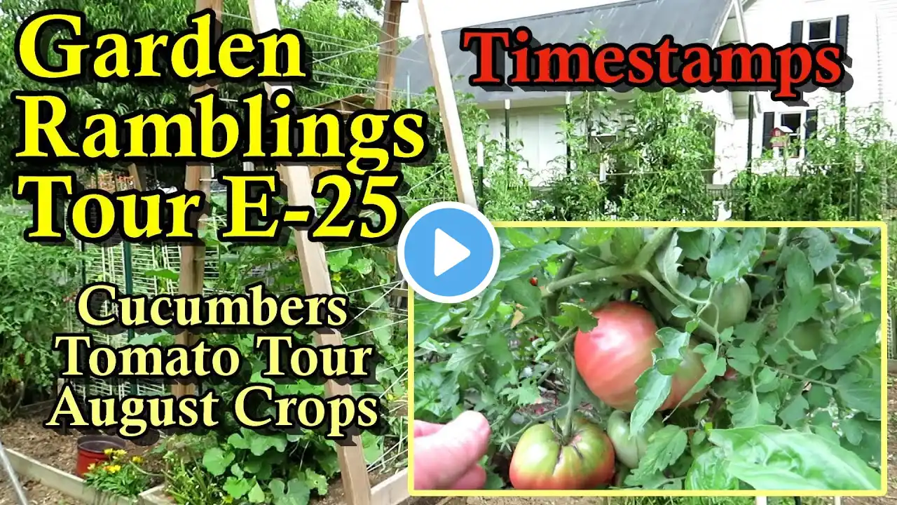 August Crops In, Tomato Tour, Cucumber Favorites, A Green Garden: Garden Ramblings Tips & Tour E-24