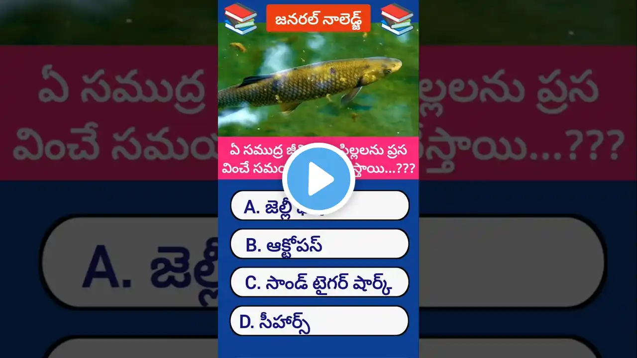 || జనరల్ నాలెడ్జ్ || #GeneralKnowledge #shorts #trending #viral ‪@theknowledgescripture‬