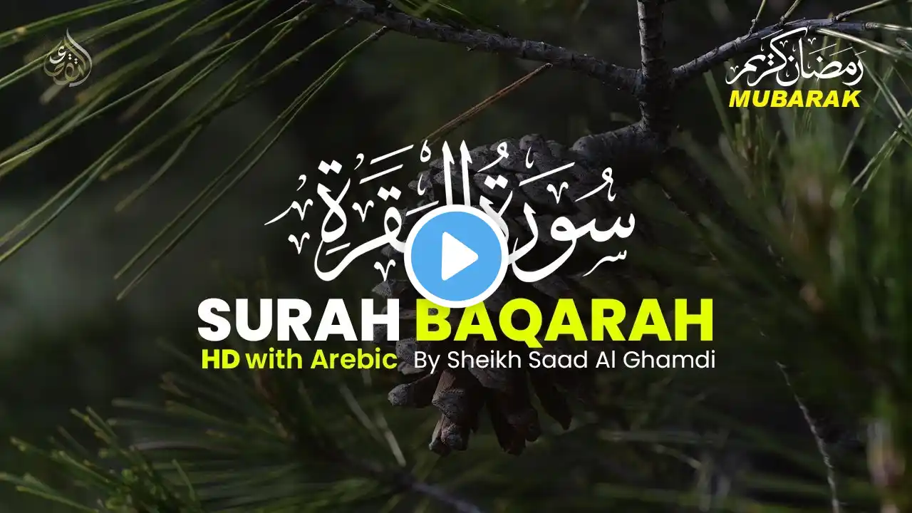 Surah Al-Baqarah Full || By Sheikh Saad Al Ghamdi (HD) With Arabic | سورة البقره | Al Taqwa TV