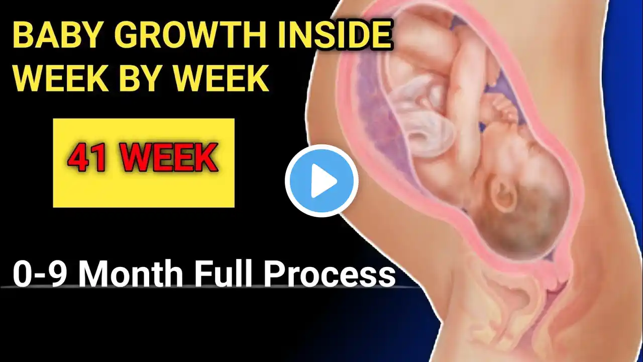 Pregnancy Week By Week || 1 - 41 Weeks Fetal Developments