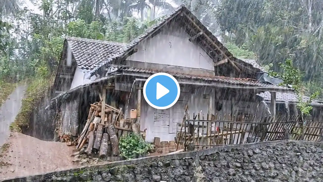 Super heavy rain in the mountain village is very strong and cold | relieve stress,Time to sleep well