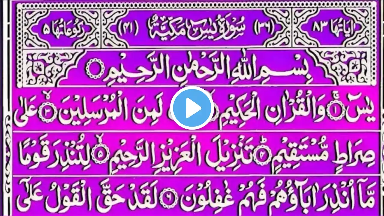 Surah Yaseen | Yasin Dua | Episode 410 | Daily Quran Tilawat Surah Yasin Surah Rahman | सुरह यासीन
