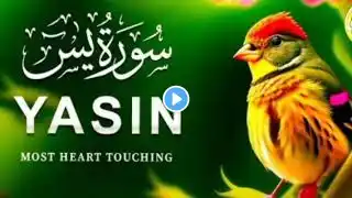 tilawat|سورۃ یاسین کی مکمل تلاوت | Surah Yaseen Tilawat | Heart-Touching Quran Recitation | HD Video