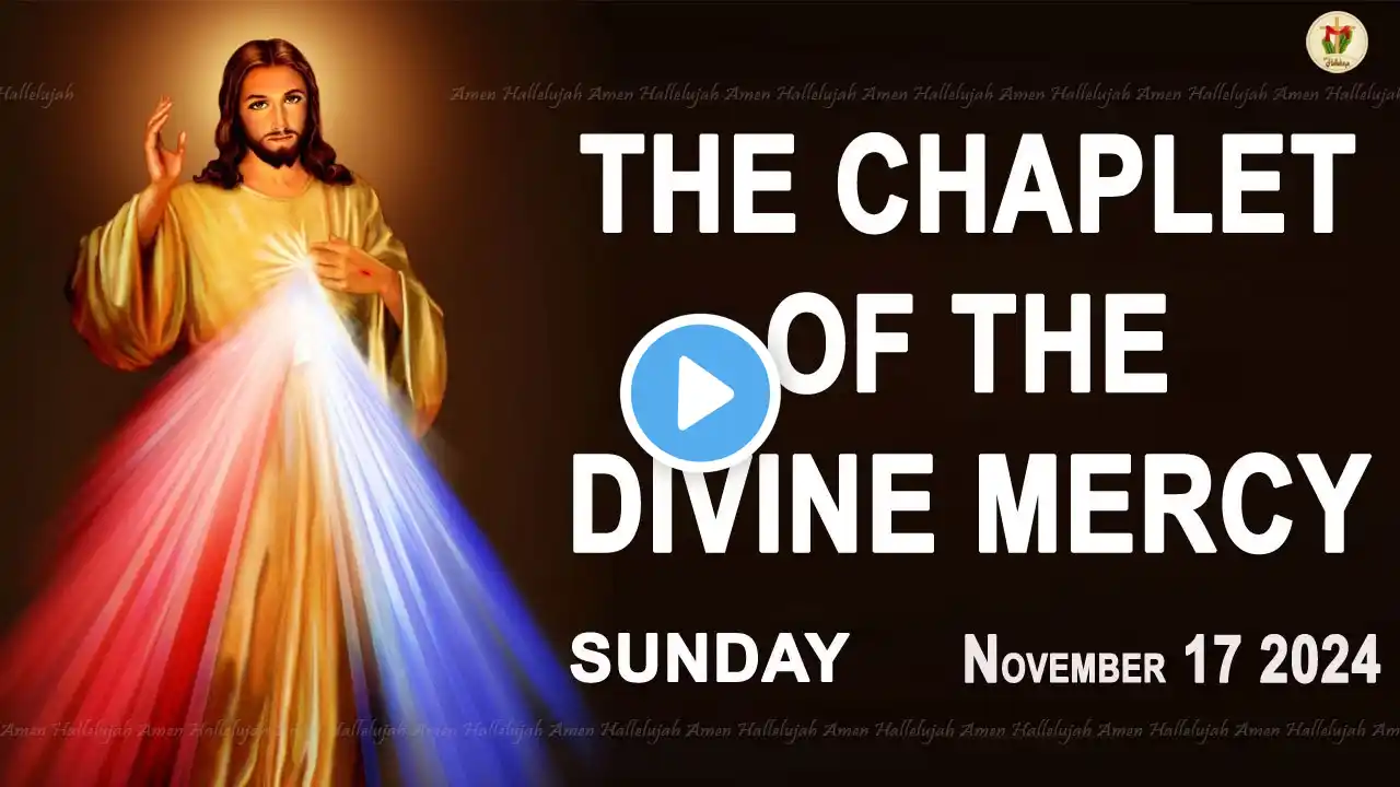 Chaplet of the Divine Mercy I Sunday November 17 2024 I Divine Mercy Prayer I 12.00 PM