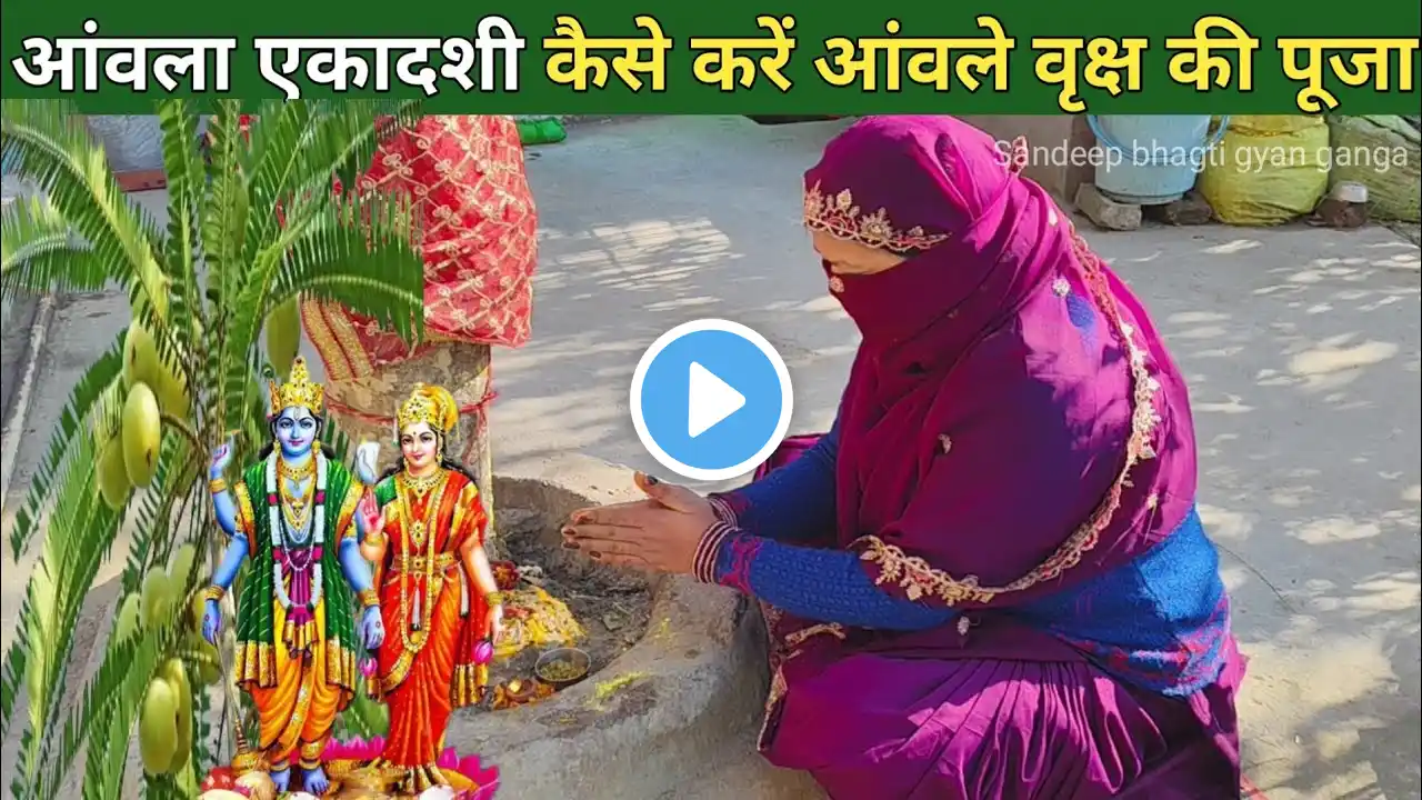 आंवला की,रंगभरी एकादशी पूजा विधि: सरल संपूर्ण | Amla Rang Bhari Ekadashi Puja Vidhi: Simple Complete