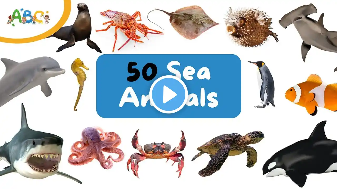 50 Sea Animals for Kids | Learn Sea Animals Names | Types of Sea Animals