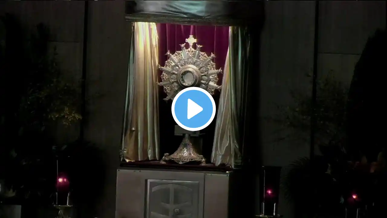 11:00am Holy Hour: Rosary, Divine Mercy Chaplet, and Benediction