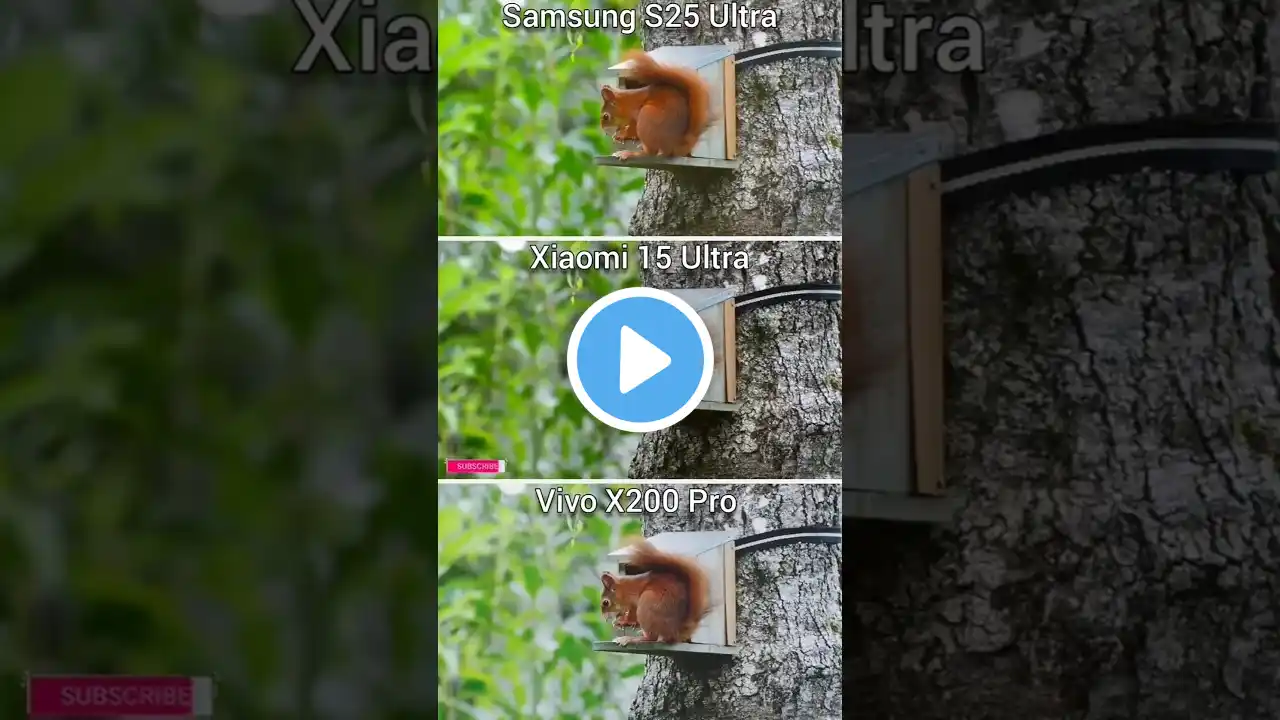 Samsung S25 ultra,Vivo x200 pro and Xiaomi 15 ultra camera test #shorts #samsung