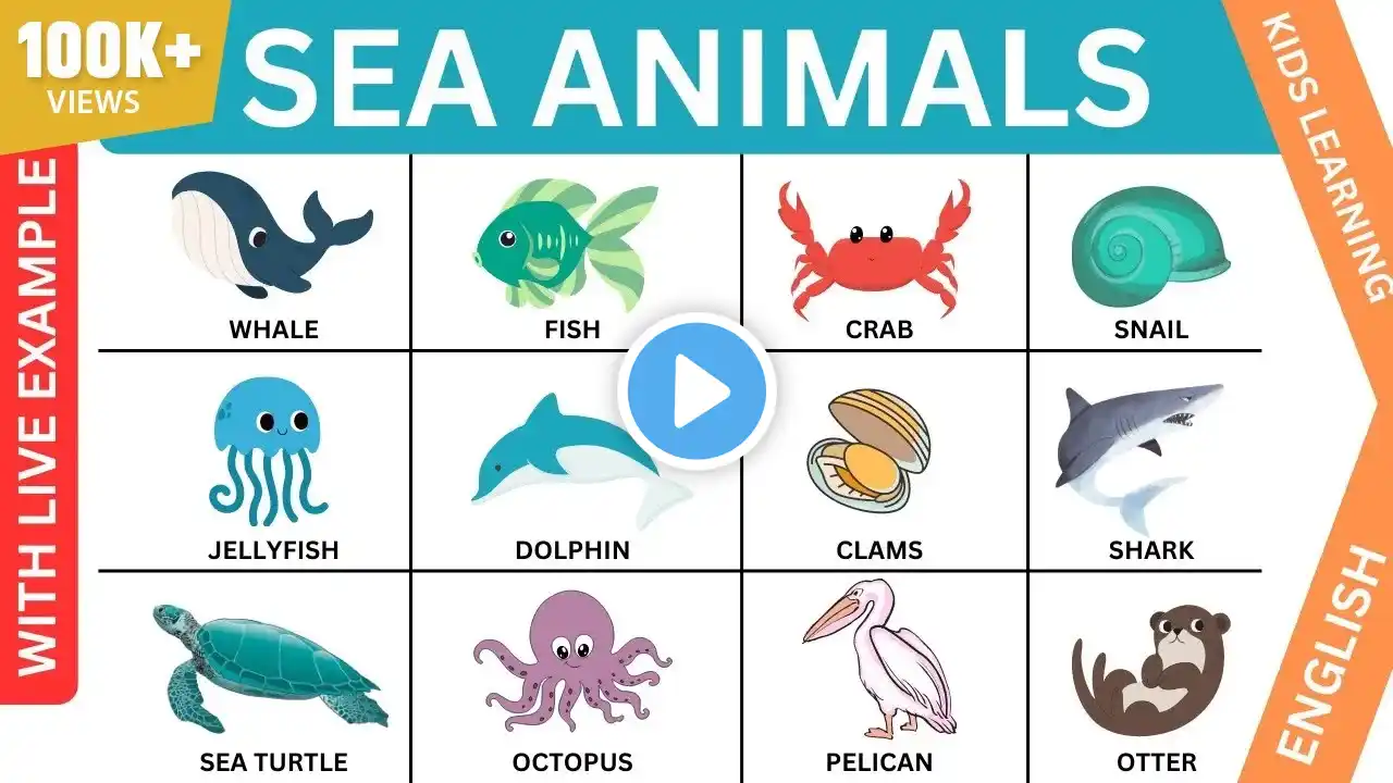 Wonderful World of Sea Animals for Kids | Fun Ocean Creatures Learning Video 🐋, 🦀 #education