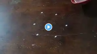 3*2 dots easy rangoli designs 🌺traditional kolam