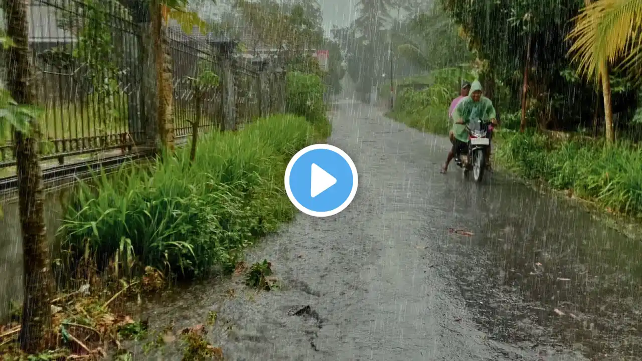 Big Thunder & Rain Sounds | Storm White Noise | I Walk Very refreshing and soothing