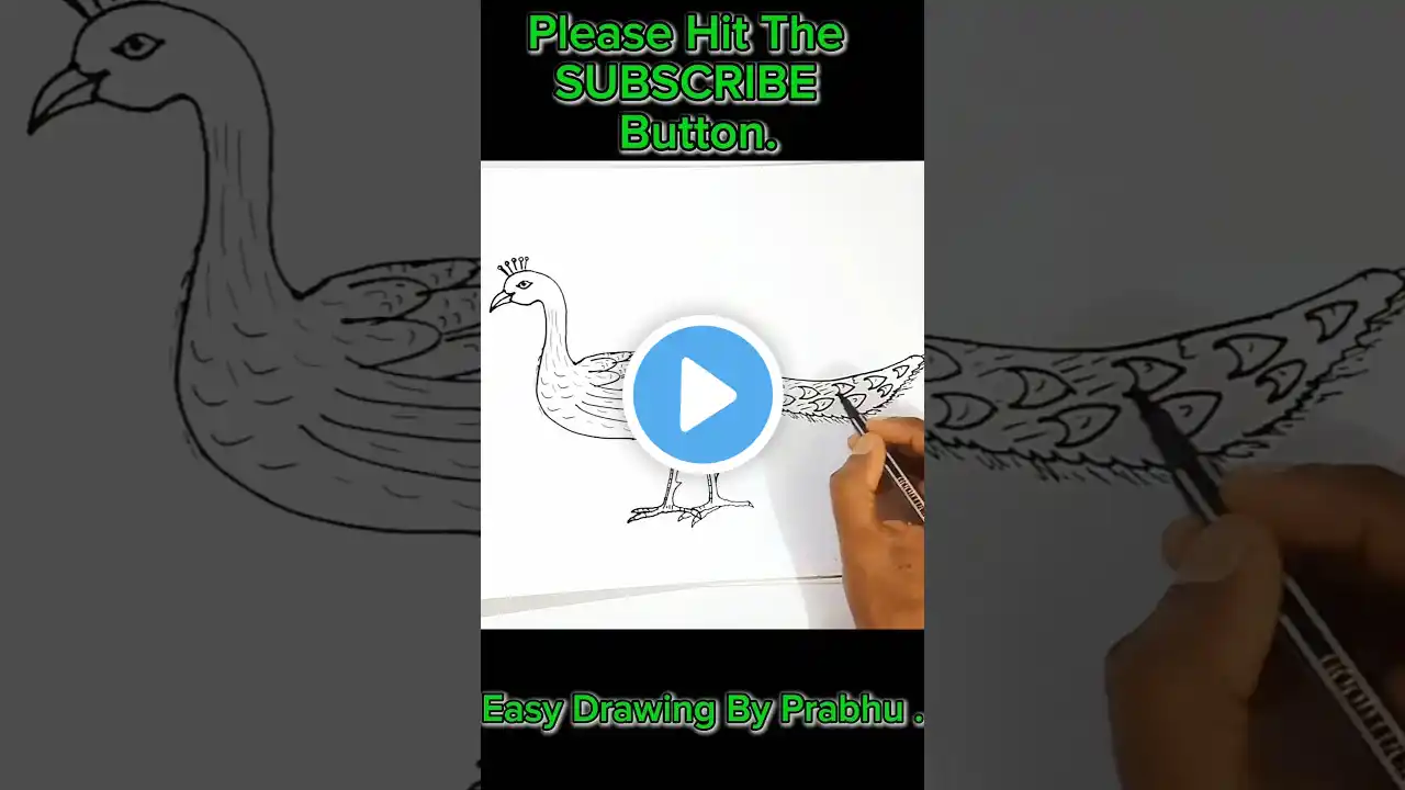 Easy Drawing A Peacock ||How To Draw A Peacock || #shorts #peacock #drawing #draw #art #viralshorts