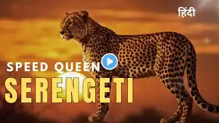 Speed Queen Serengeti | national geographic channel hindi animal | Wildlife Documentary in Hindi