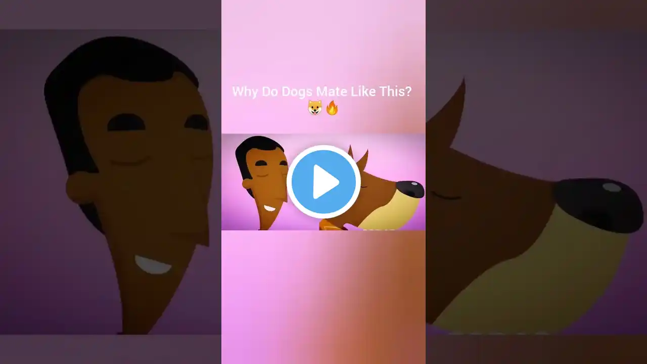 Why Do Dogs Mate Like This? ๐ถ๐ฅ | #dog #animals #pets #doglover #youtubeshorts #shortsfeed