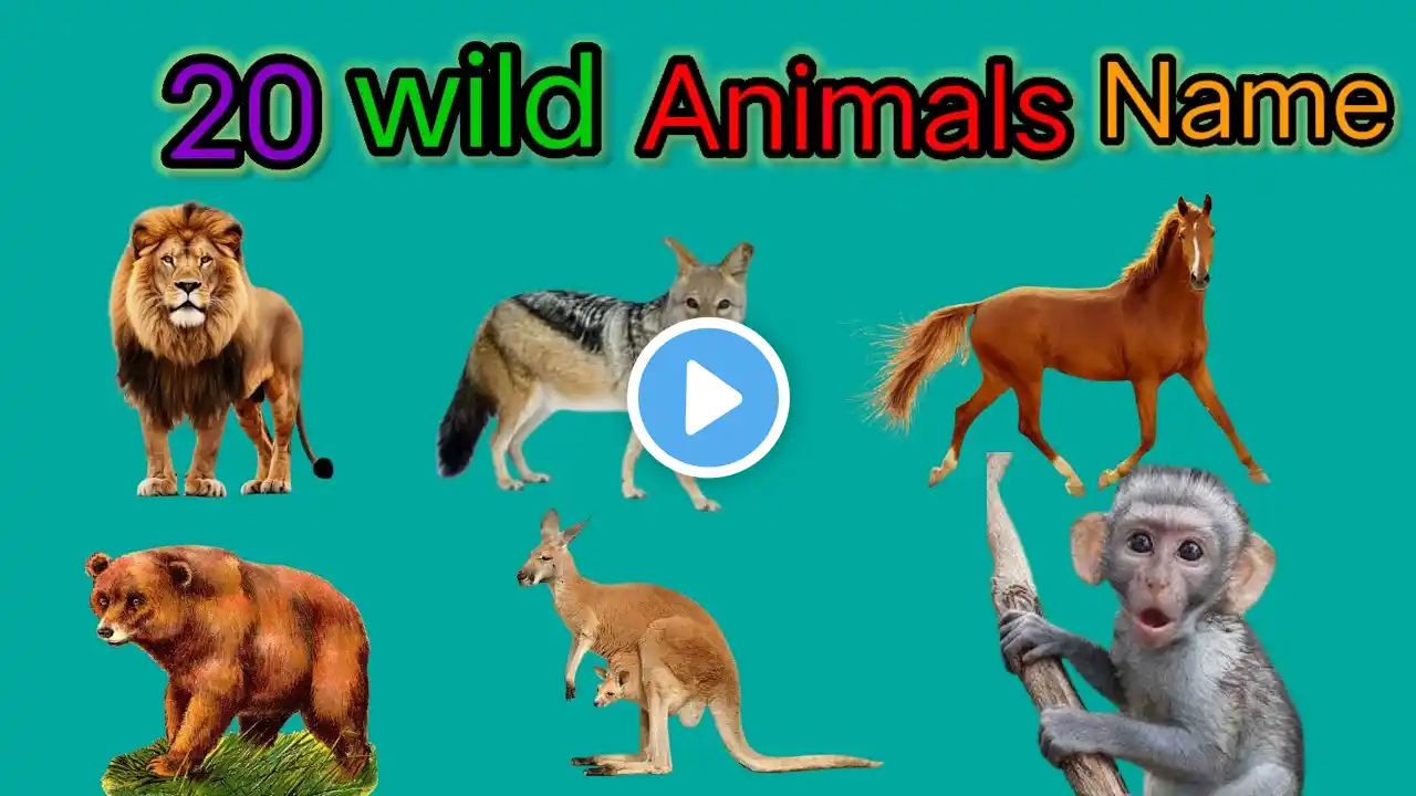 20 Wild Animals Name in Hindi and English (Part-1)🐎🐅🦣 वाइड एनिमल्स नेम हिंदी और इंग्लिश में 🏞️🌲🐊