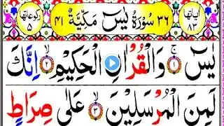 surah yaseen surah yaseen ki tilawat surah yaseen sharif surah yasin surah yasin fast mishary