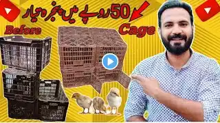 How to make bird cage at home | cage making #zarorilearntv