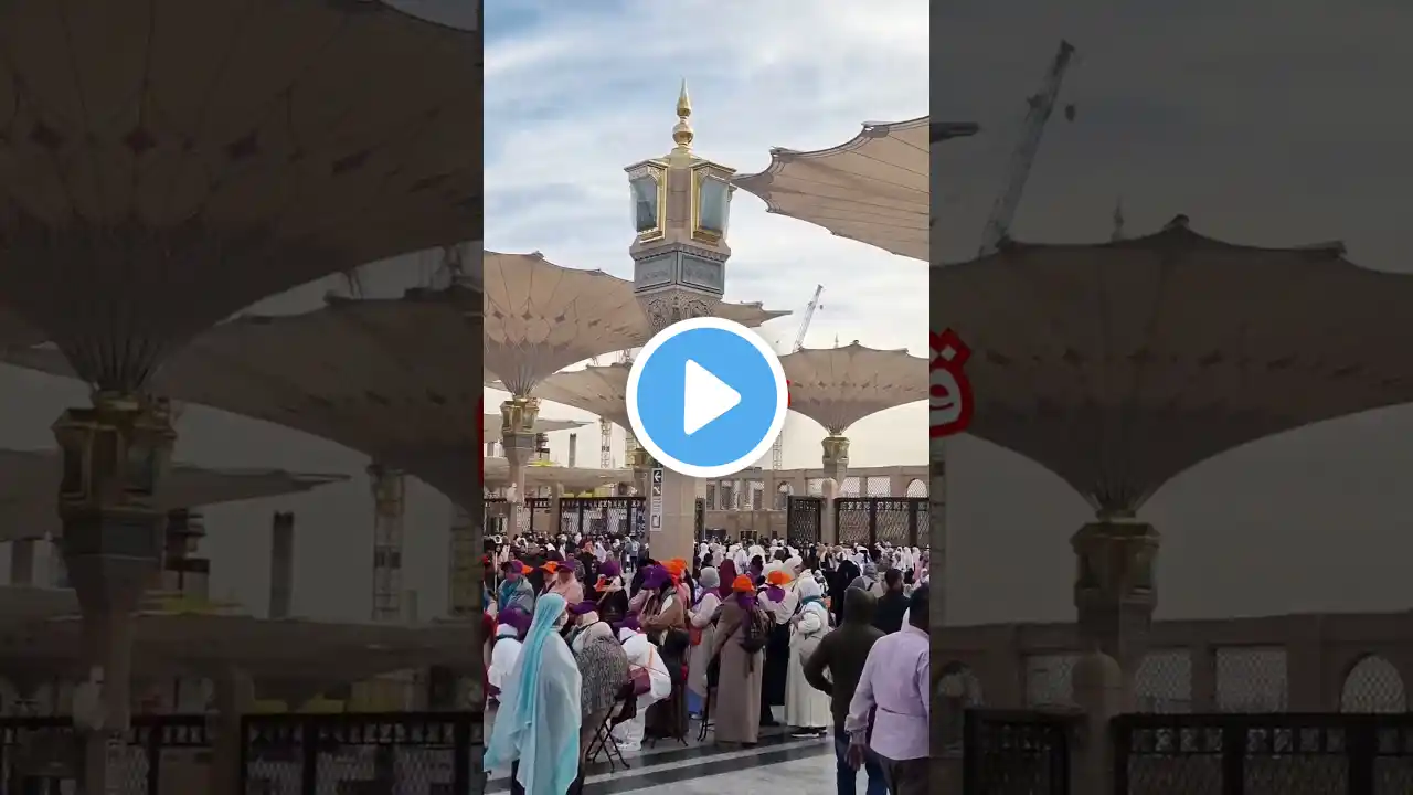 Quran Translation Urdu Hindi Beautiful Dua Prayer Heart touching Tilawat Tarjima