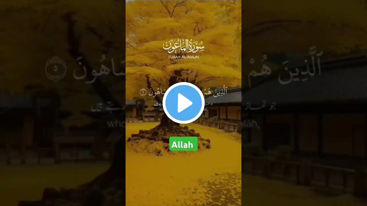 beautiful video Quran Kareem the recitation of the Holy Quran