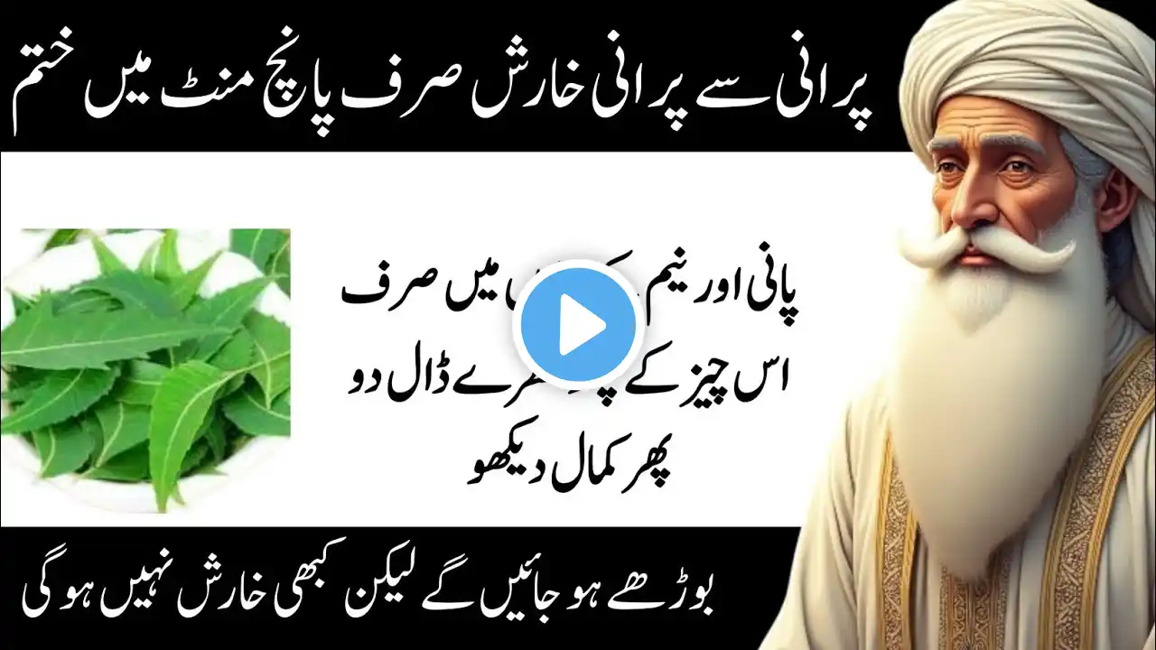 Rumi Quotes Urdu | Hikmat Ki Batain | Motivational Quotes About Life Urdu | Sunharay Haroof | Totkay