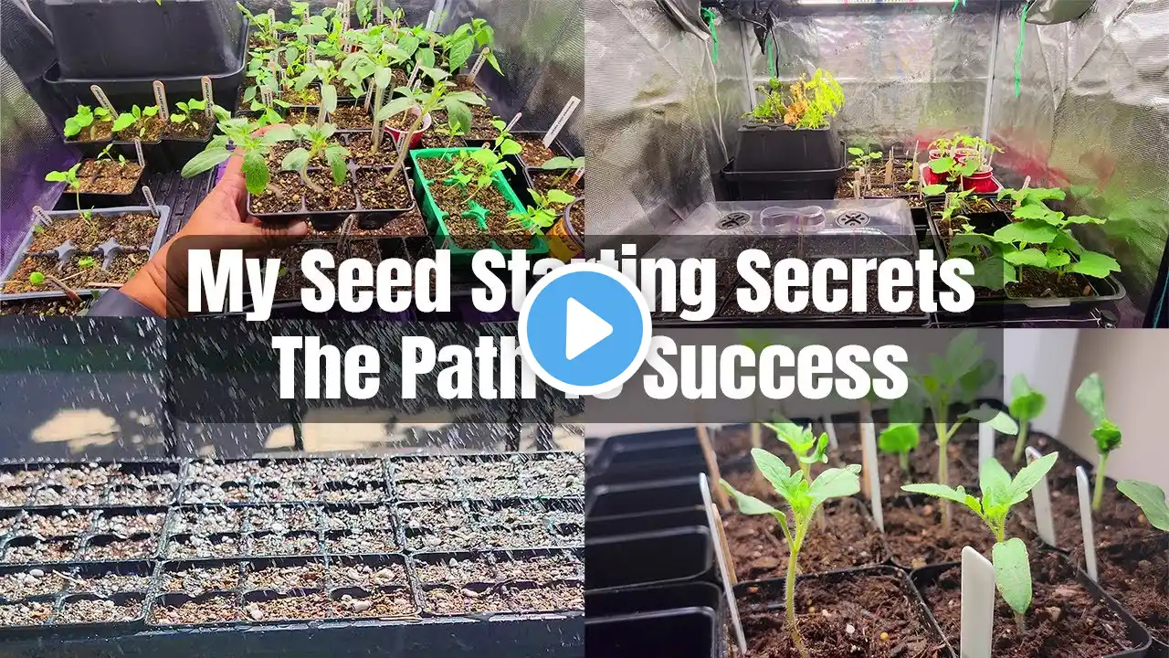 Seed Starting Secrets: Step-by-Step Guide to Growing Veggies Indoors!