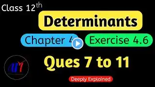 Chapter 4 Determinants Exercise 4.6 ( Ques 7 to 11 ) Class 12 Maths | NCERT Solutions