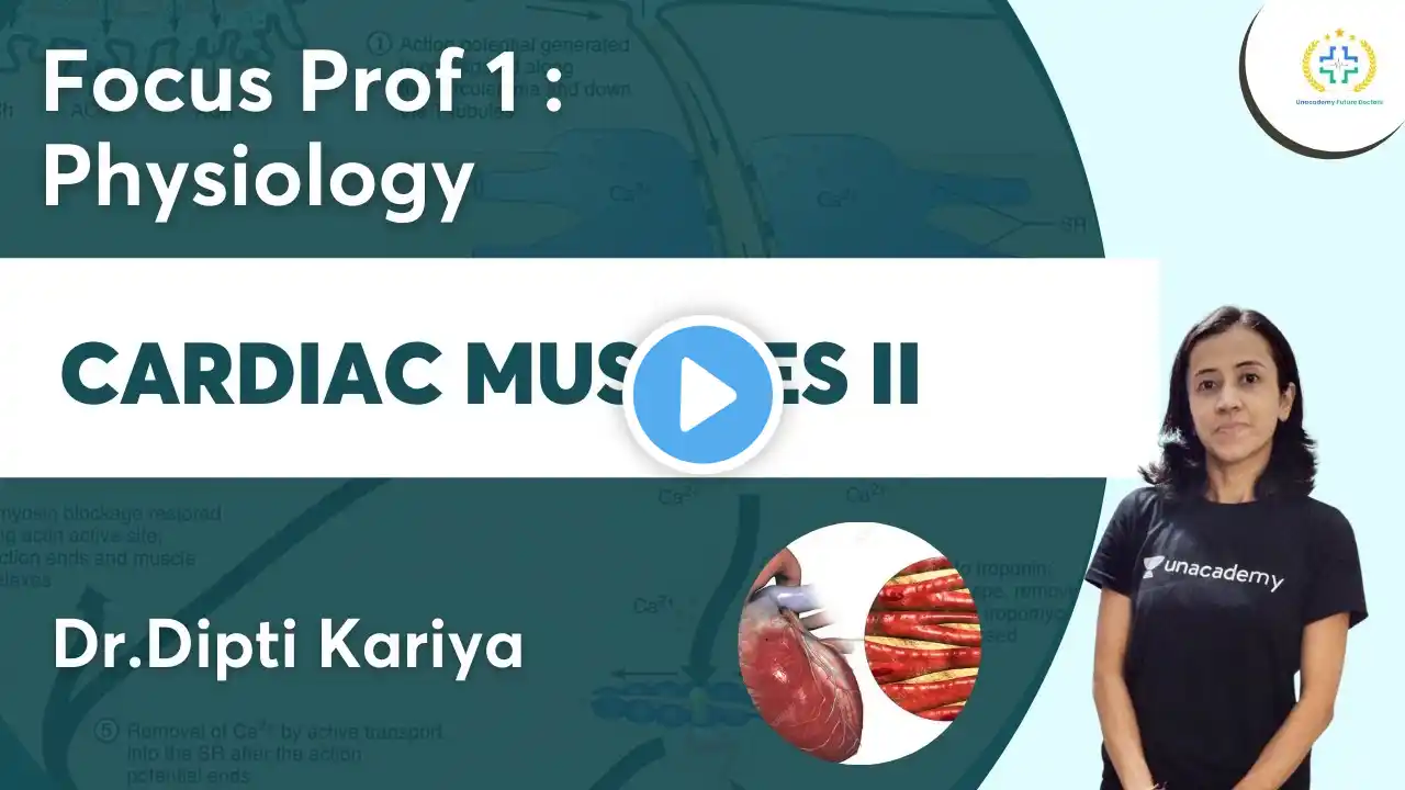 Cardiac Muscles I| | Focus Prof 1 Physiology | Unacademy Future Doctors | Dr.Dipti