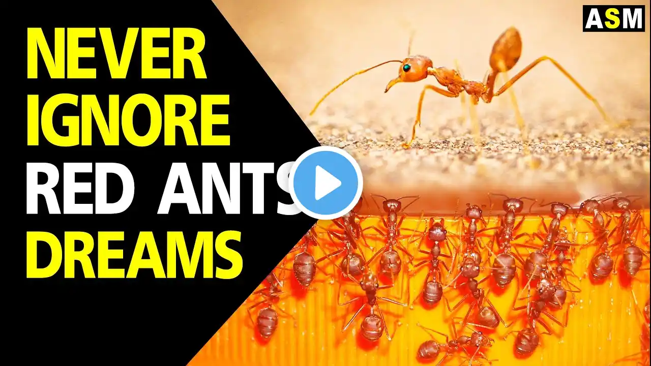 What does Red Ants dream meaning || Dreaming of red ants || Red Ants dream dream interpretation