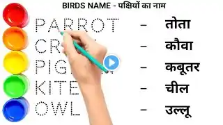 Birds Name ,| Bird Name in Hindi And English ,| 6 birds name ,| पक्षियों का नाम हिंदी और इंग्लिश