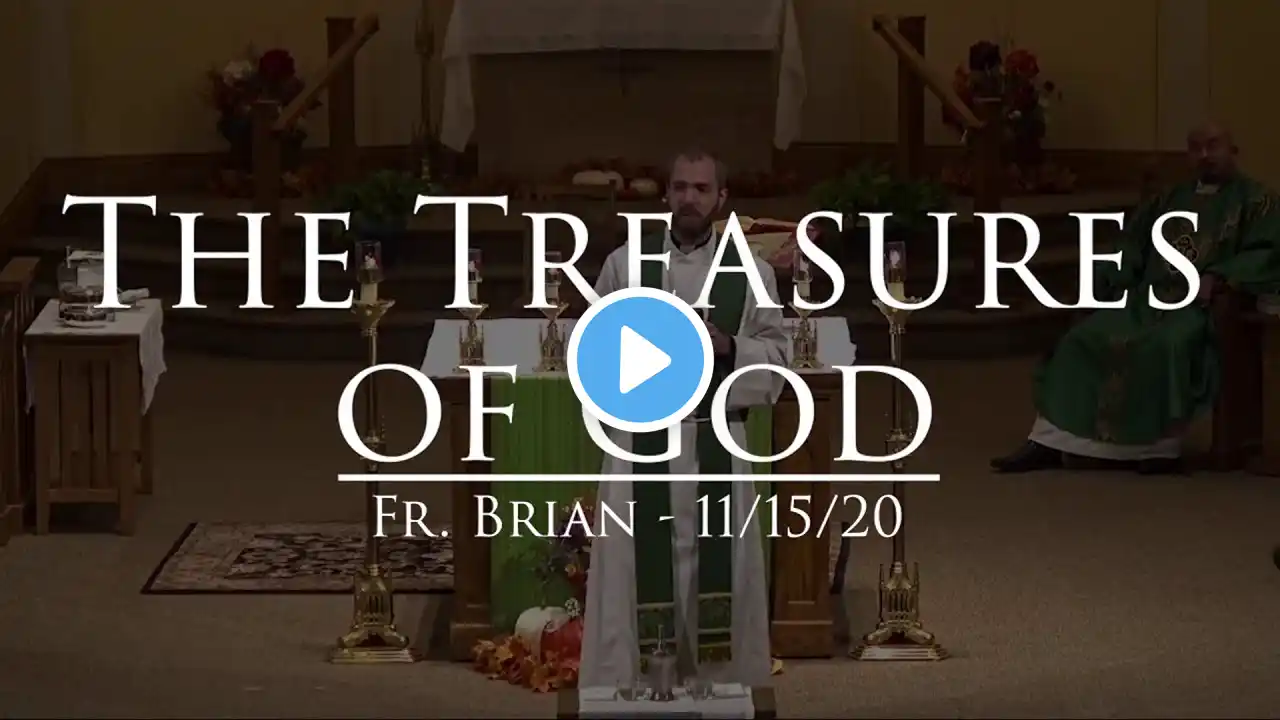 Sunday Snippet - Fr. Brian - 11/15/20