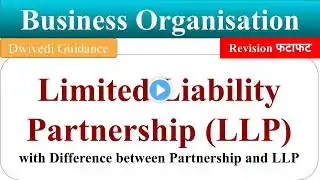 Limited Liability Partnership, LLP, form of business organisations, Business Organisation b.com