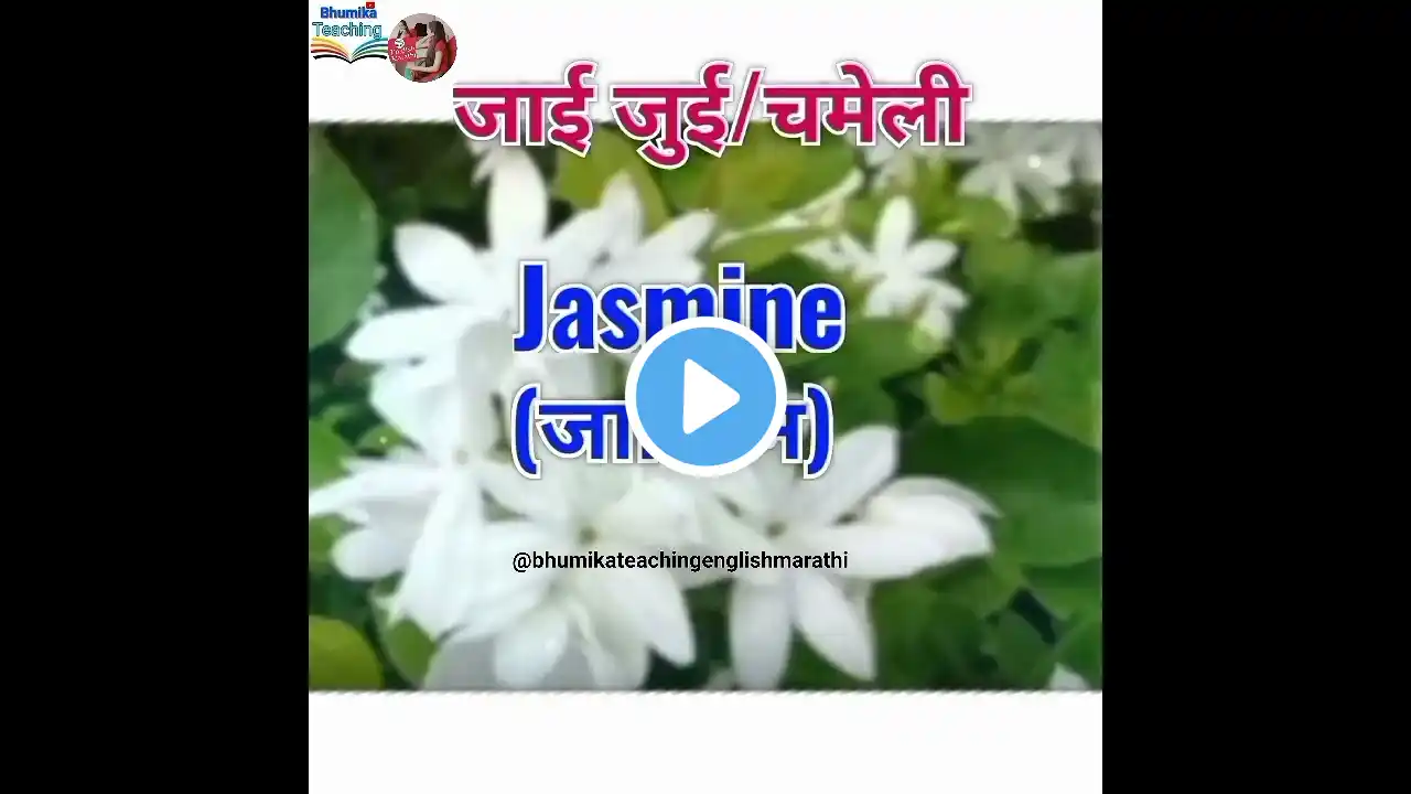 Jai/Jui/Chameli Flower Name in English #shorts |Bhumika Teaching| जाई/जुई/चमेली फुलाचे नाव इंग्रजीत