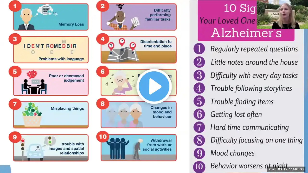 Alzheimer’s Disease & Mild Cognitive Impairment Explained: What Happens to the Brain & How to Help