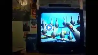 Opening to Finding Nemo 2003 VHS (Australia)