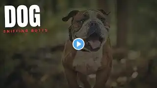 DOGS SNIFFING BUTTS: The TRUE (and Strange) Reason Behind This Behavior!